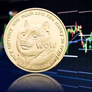 Dogecoin Millionaire Explains Why He’s Still Bullish On DOGE Despite Taking Heavy Losses