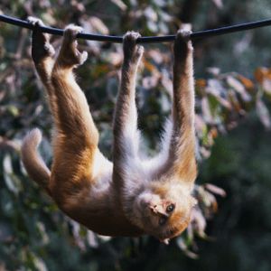 Apecoin Weakens Grip In Last 30 Days – Should Investors Get Worried?