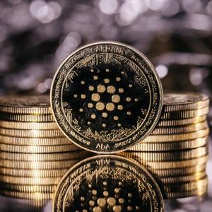 Cardano HODLing: Long-Term Holders See 170% Rise In Past Year