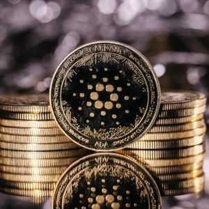 Cardano Whales Sell 1.02 Billion ADA, More Pain Ahead?