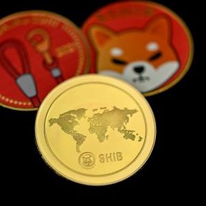 Shiba Inu Community Sounds  Warning Alarm As Scammers Siege Shibarium