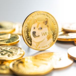 Dogecoin Price Prediction for 2023, 2024, 2025, 2030 & Beyond