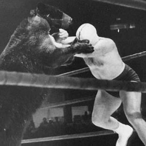 Toncoin Shatters Bearish Predictions With 40% Rally – What’s The Story?
