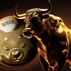 Shiba Inu Team Member Reveals What Investors Should Do If They Want SHIB Burns