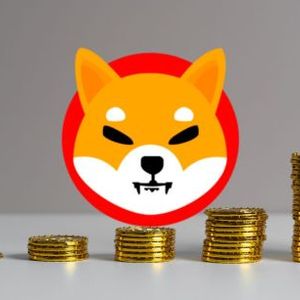 Shiba Inu Update: 530% Spike In Shibarium Metric Could Trigger SHIB Recovery