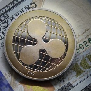 Ripple CTO Weighs In: Why A Higher XRP Price Is Beneficial For Adoption