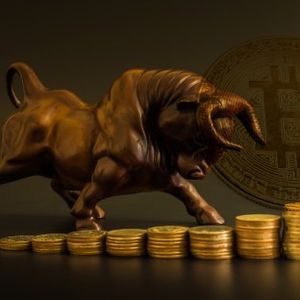This Bullish Combination Has Finally Formed For Bitcoin, Rally Ahead?