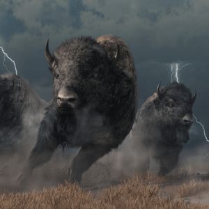 Solana Outperforms 2 Top Altcoins – Its Ripple Effect On Prices