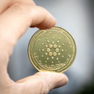 Assessing Cardano’s Struggles: Will Key Support Levels Halt The Decline Above $0.27?