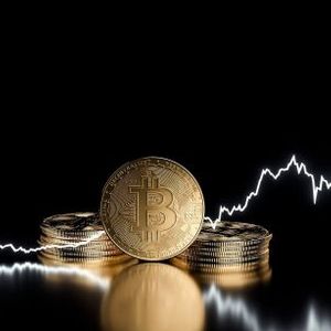 Bitcoin Halving Is 200 Days Away, This Happens Every Time: Is It Time To Doubledown?