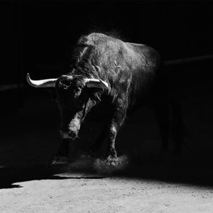 Buy LINK Now? Chainlink Touted As ‘Safest Bet’ For This Mega Trend