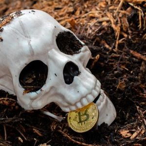 Bitcoin Doom Signal Warns Of 50% Crypto Collapse