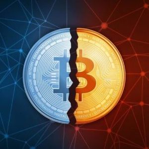 What To Expect If Historical Bitcoin Halving Cycles Repeat