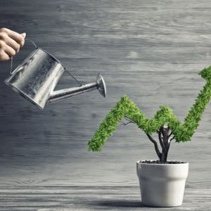 Bitcoin Price Holds Strong At $30K: Indicators Point To More Upsides To $31.2K