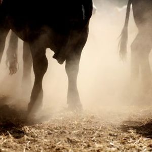 Ethereum Accelerates Toward $2,000 But Can The Bulls Make It?