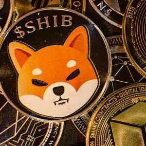Self-Authentication System Of Shiba Inu Has Technical Issues, Developer Reveals