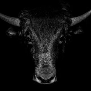Bitcoin Macro Index Enters ‘Expansion’, Echoing 400% Bull Run Surge