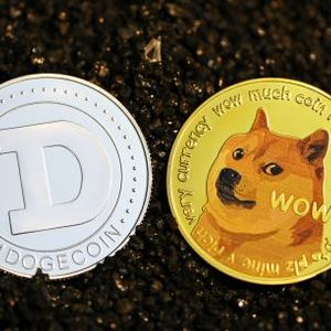 Is Dogecoin About To Reverse? Key Factors To Watch