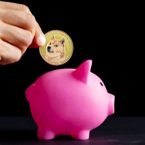 300 Million Dogecoin (DOGE) Moved To Robinhood As Price Swells