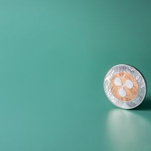 XRP Price: Crypto Analyst Anticipates 65,000% Rally Signal Today