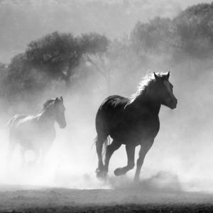 Hold Your Horses: Bitcoin Could Fall Back To Under $38,000, These Analysts Say