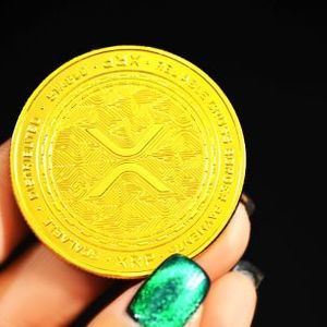 XRP Whales Show Exchange Inflow Activity, Bad Sign For Price?