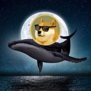 Dogecoin Whale Moves 71 Million DOGE To Robinhood, What Does This Mean For Price?