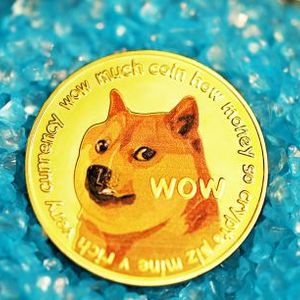 Dogecoin To See 24% Rally To $0.100 If This Holds: Analyst