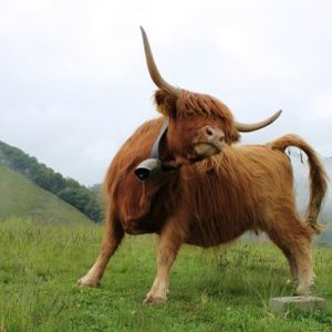 XRP On The Brink: Urgent Call For Bulls As Analysts Predict Dire Correction Ahead
