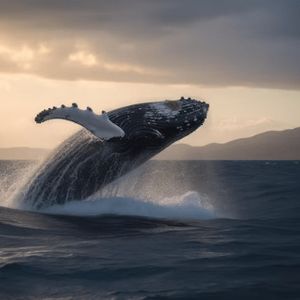 Chainlink Gets Whale Backing: LINK Price Up 14% Amid Market Dip