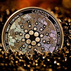 Cardano Defies Bear Market As Smart Contracts Count Sees 10,000 Explosion