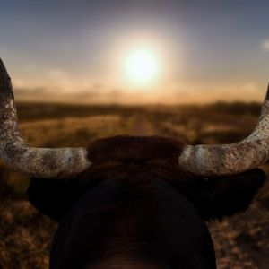 Chainlink Surges 12% To $18: Price Set To Retest $20 Next?