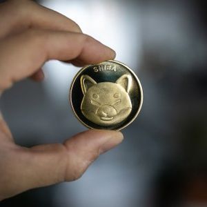 Shiba Inu Burn Rate Spikes By Nearly 200% As Price Recovers