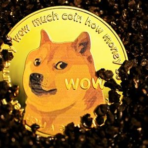 Dogecoin Accumulation: DOGE Millionaires Have Shot Up By 76%