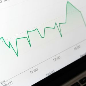 Crypto Analysts Foresee Another FLOKI Expansion Despite Market Drop