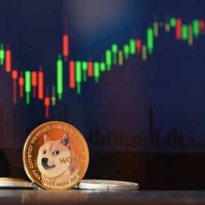 DOGE Price Set For Rebound? Whale Moves $26 Million In Dogecoin Off Robinhood