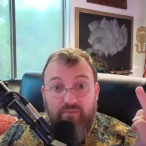 Cardano Price Drops As Hoskinson Clarifies Relationship To Elon Musk