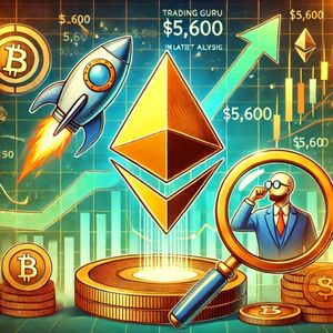 Bitcoin, Ethereum, And Solana On Traders’ Radar: What’s Going On?