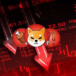 Why Is The Shiba Inu Price Crashing Today?