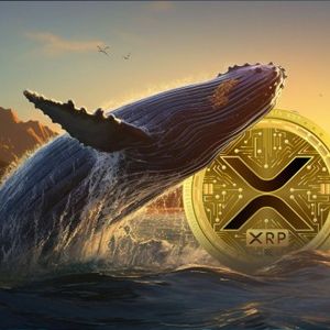 XRP Whales Take Advantage Of 20% Drop To Buy Millions Worth Of Tokens