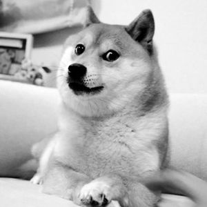 Is Dogecoin (DOGE) Headed For A 40% Slide? This Analyst Thinks So