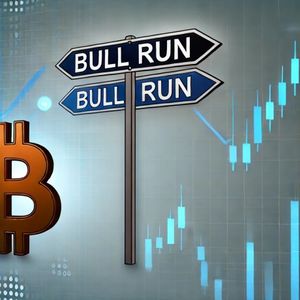 Here Is Why The Bitcoin Bull Run Hasn’t Started, According To Analyst