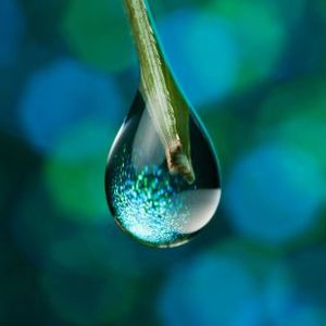 SUI Rallies 100%, But Signs Of Fatigue Emerge – Is A Drop Incoming?