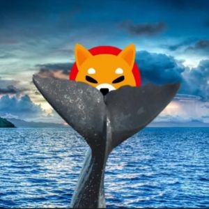 Shiba Inu (SHIB) Ranks No. 1 In Top 5,000 ETH Whales’ Crypto Holdings