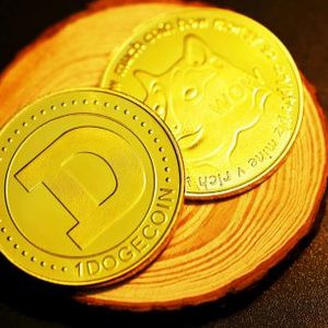 Crypto Analyst Predicts 37% Upshoot For Dogecoin Price, Points Out Support Levels