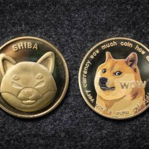 Shiba Inu Falls Below $0.00002631 As Bears Dominate The Market, Time To Buy?