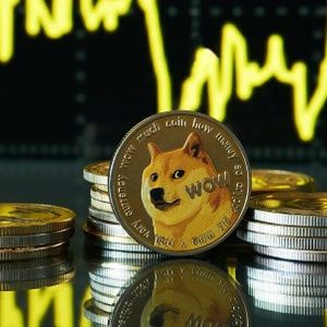 Dogecoin Recovery In Sight: Strong Support Hints At Bullish 2025