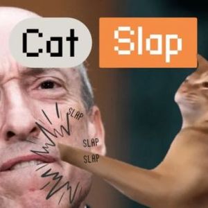 Catslap, le légendaire meme coin, frappe fort avec 100 000 USDT en jeu pour récompenser les 10 meilleurs du classement Slapdrop ! 🚀🐾