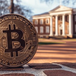 Meme Coin Hype Mounts as University Endowments Join US Crypto Rush