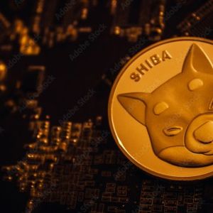 Shiba Inu Millionaire Numbers Fall Below 1,000 After Market Crash, How Much Do They Control?